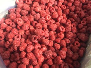 Venderé frambuesa congelada, cantidades: 8, 9, 10 kg -