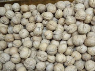 Tengo a la venta nueces de la cosecha de