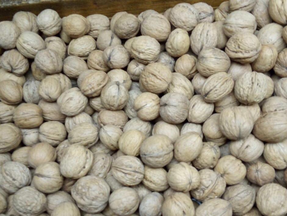 Tengo a la venta nueces de la cosecha de este año