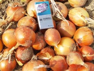 cebollas en sacos de 10 kg con entrega 1PLN