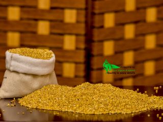 MILLET SEEDS MOQ 18 TONELADAS nuestra web