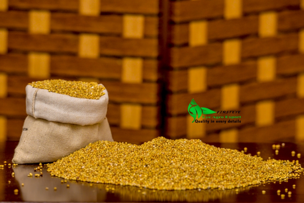 MILLET SEEDS MOQ 18 TONELADAS nuestra web