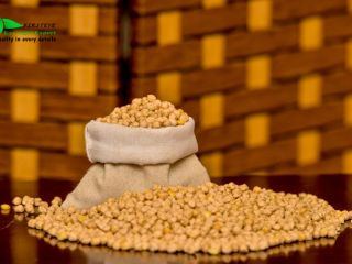 garbanzos MOQ 18 TON FIRSTEYE AGRO EXPORT web