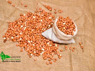 maní MOQ 18 TONELADAS FIRSTEYE AGRO EXPORT web