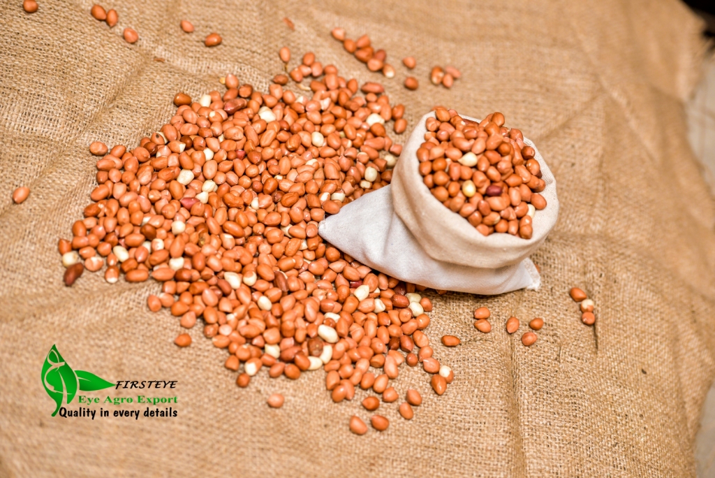 maní MOQ 18 TONELADAS FIRSTEYE AGRO EXPORT web