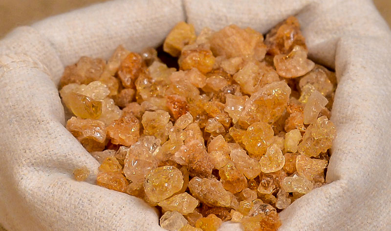 goma árabe hashab $ talha MOQ 18 TONELADAS FIRSTEYE AGRO EXPORT web