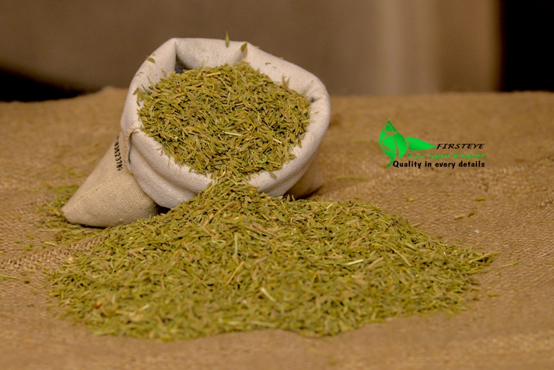 SEMILLAS CUMIN MOQ 18 TONELADAS FIRSTEYE AGRO EXPORT web