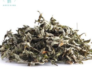 La Artemisia argyi, comúnmente conocida como ajenjo plateado o