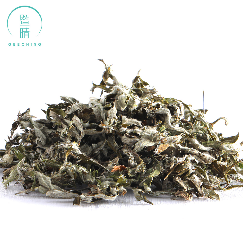 La Artemisia argyi, comúnmente conocida como ajenjo plateado o artemisa china, es una planta herbácea perenne con un rizoma rastrero