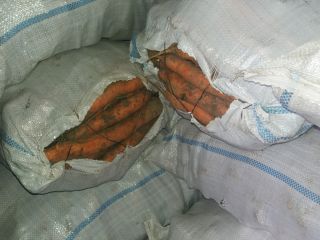 Vendo zanahorias y encurtidos