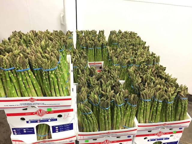 Producen verduras frescas