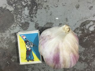 Venta de variedades de ajo fresco duquesa, tamaño de