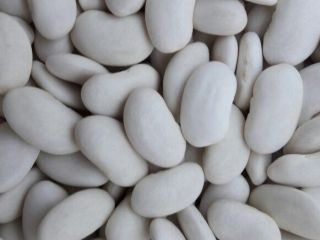 Vendemos frijoles de diferentes variedades y diferentes calibres. Ofrecemos