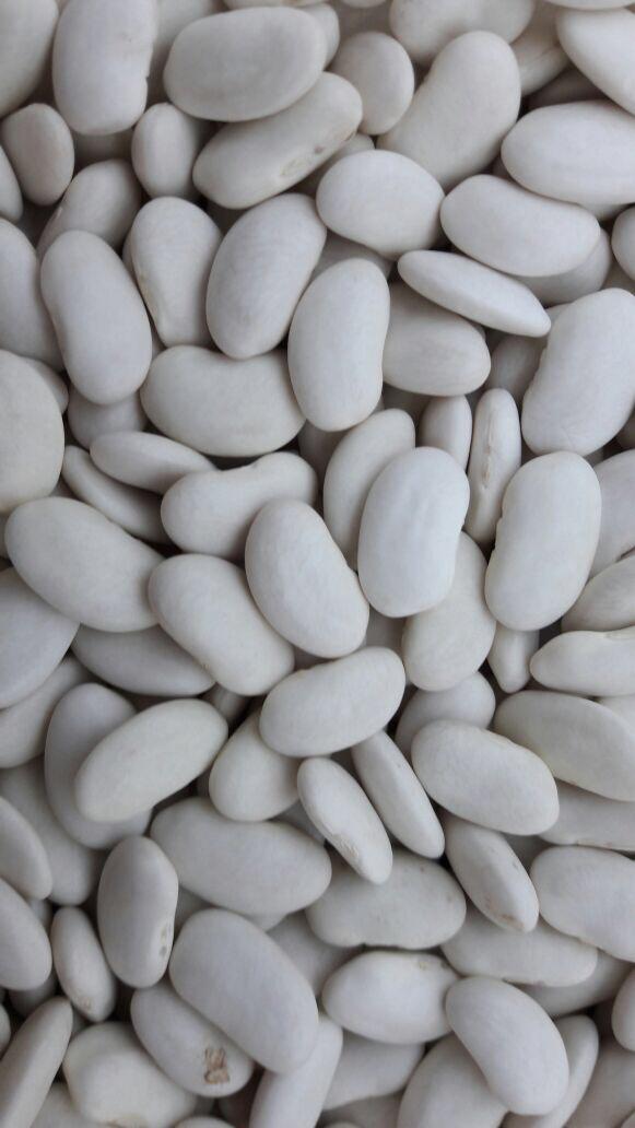 Vendemos frijoles de diferentes variedades y diferentes calibres