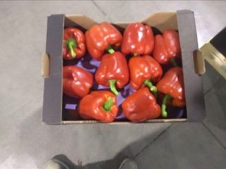 En venta Pimiento rojo de California Clase 2xG País