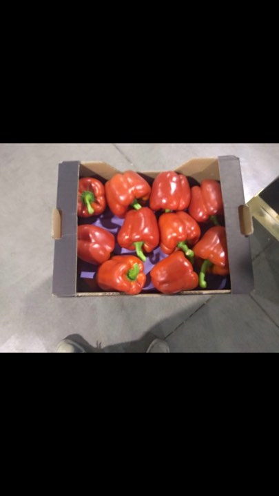 En venta Pimiento rojo de California Clase 2xG País de origen España Paquetes 5 KG /