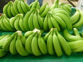 Somos el principal exportador de Fresh Cavendish Banana, contácteme