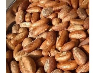 amargo kola para la venta, contáctenos si está interesado.