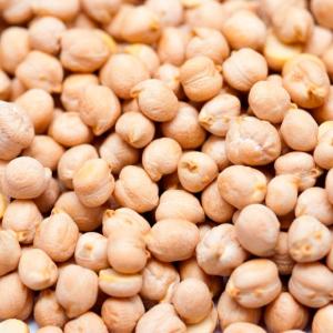 Nuestra empresa es uno de los principales exportadores de garbanzos, semillas de cilantro, lentejas, garbanzos y otros productos agrícolas