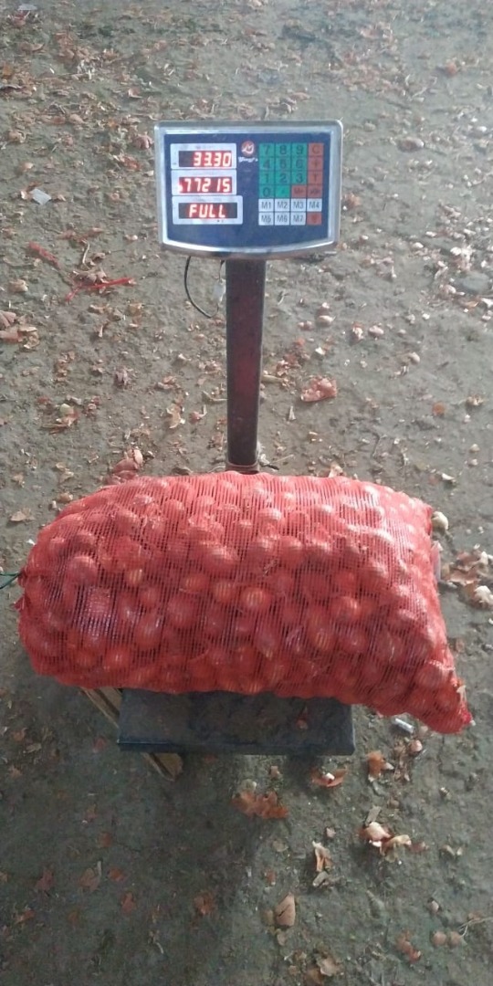 Cebollas doradas gruesas y saludables, de cualquier tamaño o empaque, ¡perfectas para pelar! Disponible en grandes cantidades, el precio es negociable