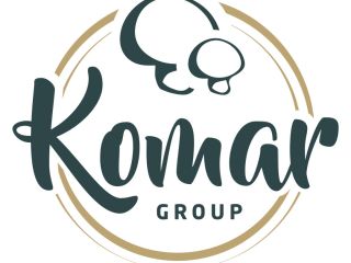 Venderé 15 toneladas de bayas Kamchacka clasificadas congeladas. Embalado
