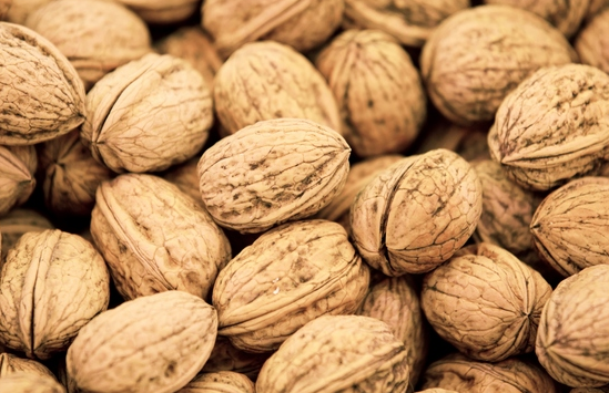 Venderé nueces de una parcela privada ubicada lejos de la calle junto a la reserva natural