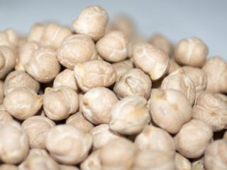 Ofrecemos garbanzos de 24 Mt, calidad: pureza 6+ Sortex,