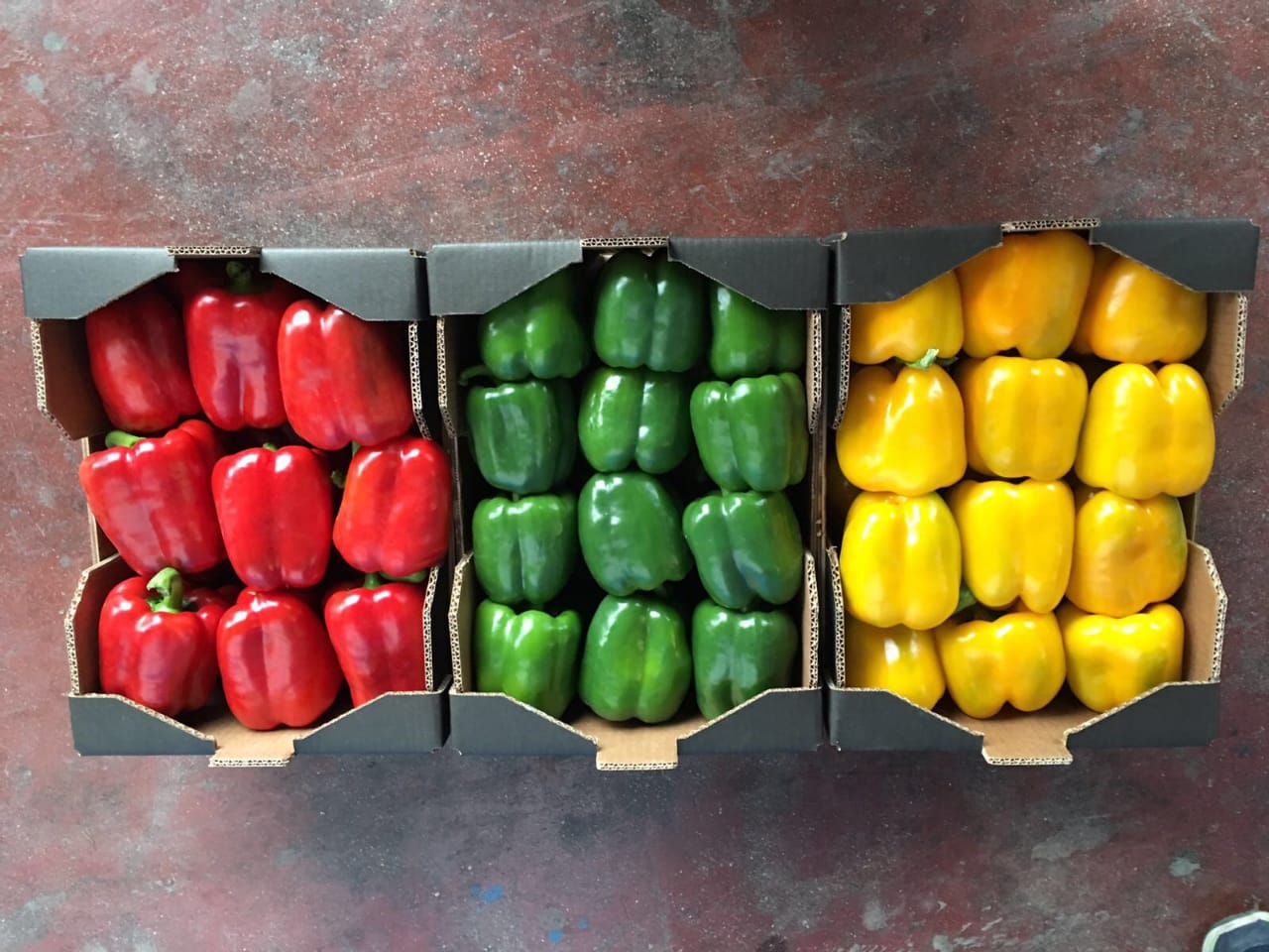 PIMIENTA ROJA CALIFORNIA, calibre M / G / GG, caja de 5 kg, origen Marruecos
