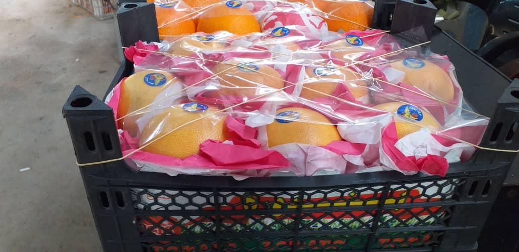 vender cantidades al por mayor de naranjas de Siria