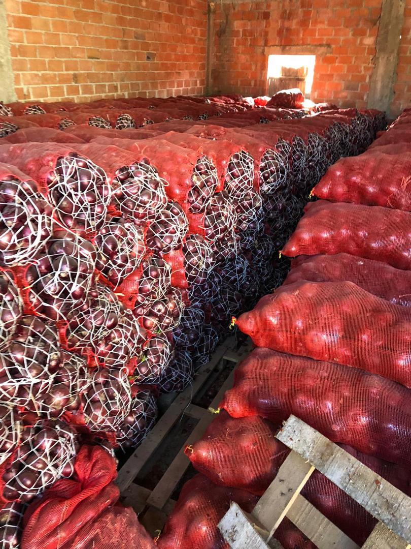 Compre cebollas frescas de Siria a un bajo precio en / o