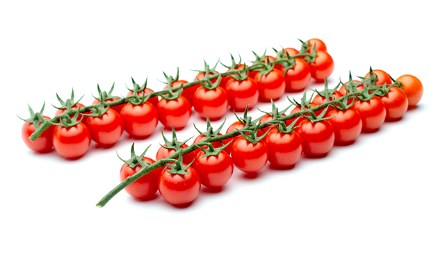 Un ramo muy hermoso y numeroso, es un tomate con una consistencia excepcional y una larga vida post-cosecha