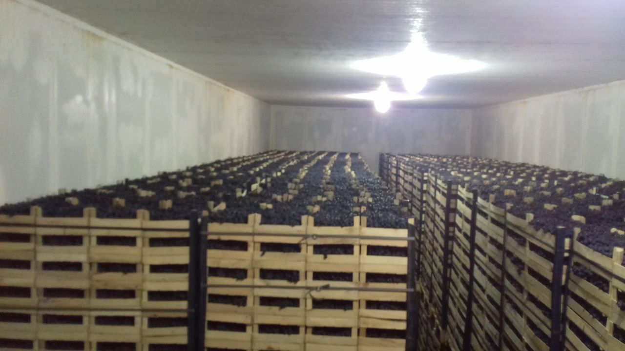 Poamă Moldavia, producto de huerta natural