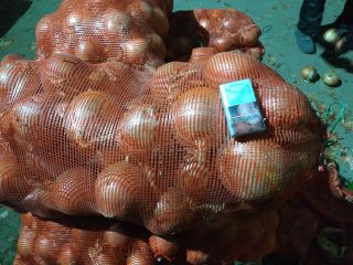 ¡Vendemos las mejores cebollas amarillas en Kazajstán! ¡Es hermoso