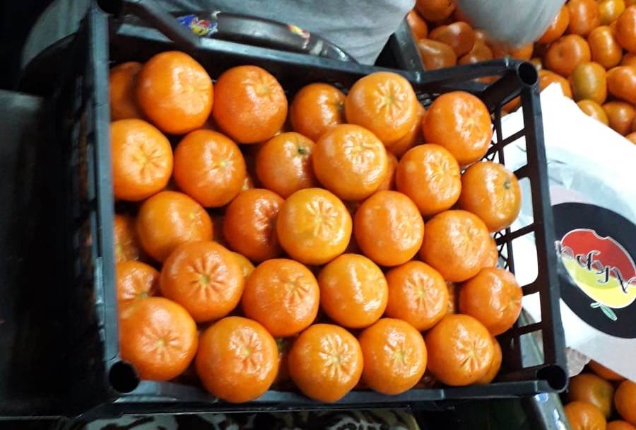 Origen: Turquía Tamaño: mediano Corteza: delgada; no es fácil de pelar; superficie plana Carne: naranja; suave, muy jugoso; sabor muy rico y vivo Contenido de