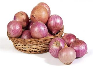 Vendemos cebollas variedad Legasi producidas por las granjas privadas
