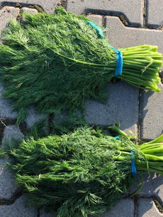 Hola, tengo que ofrecer eneldo de Irán, precio por kilo 15 PLN, al ordenar más cantidad de precio negociable, eneldo embalado 20 kg emitimos una factura con IVA