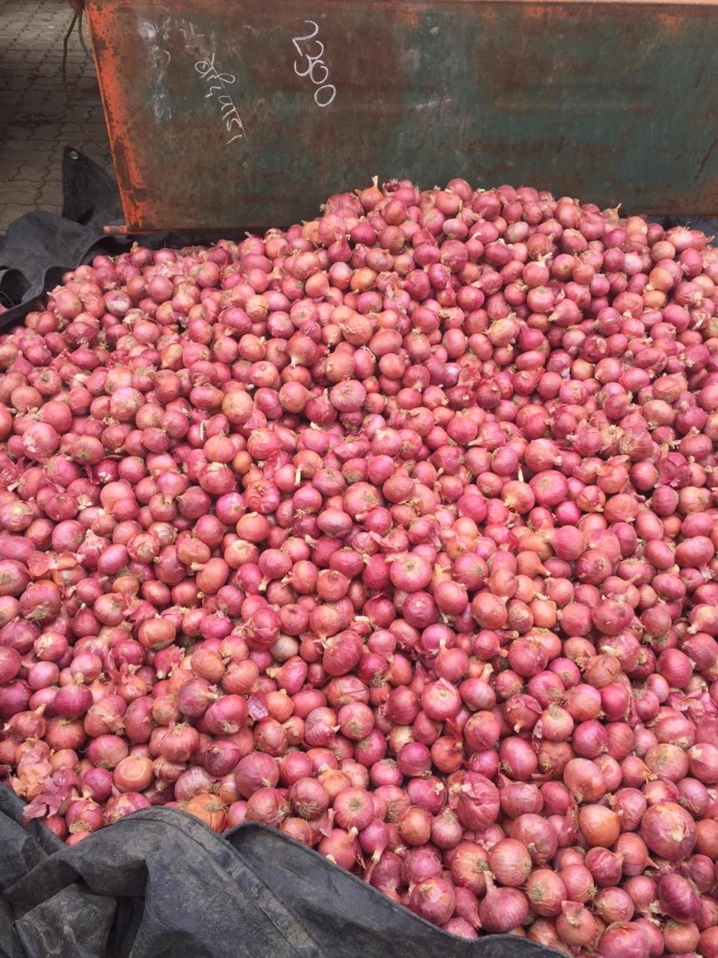 Todos los tipos de cebolla de exportación están disponibles en India más para más detalles llame al
