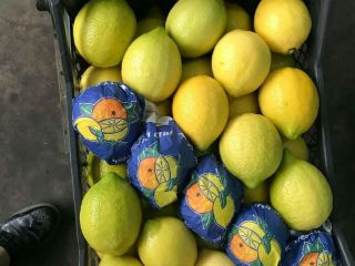 Variedad de limones Lamas origen Turquía, clase 1, calibre