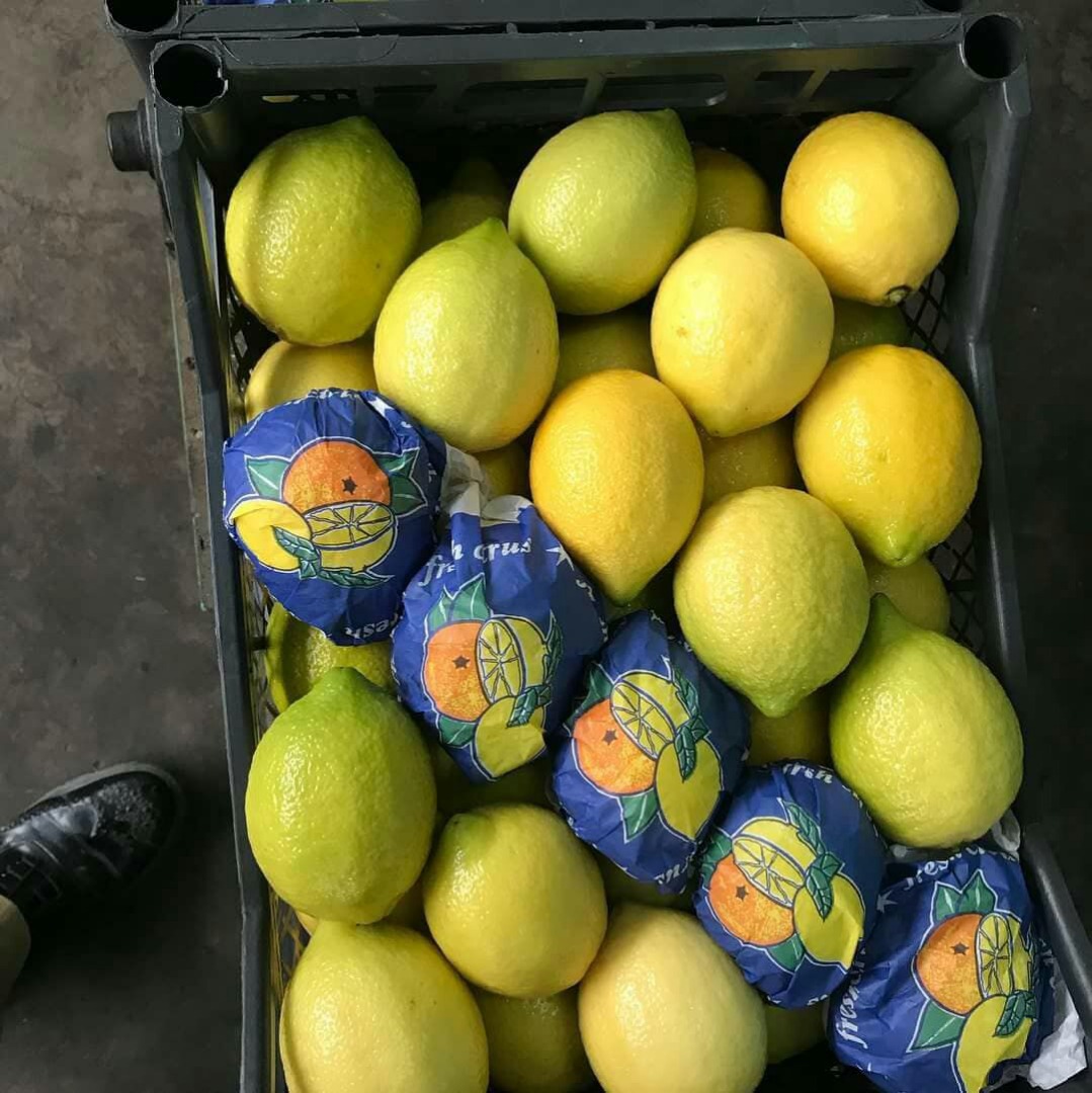 Variedad de limones Lamas origen Turquía, clase 1, calibre 3.4, embalado en cajas de plástico de 10 kg, pedido mínimo 1 automóvil