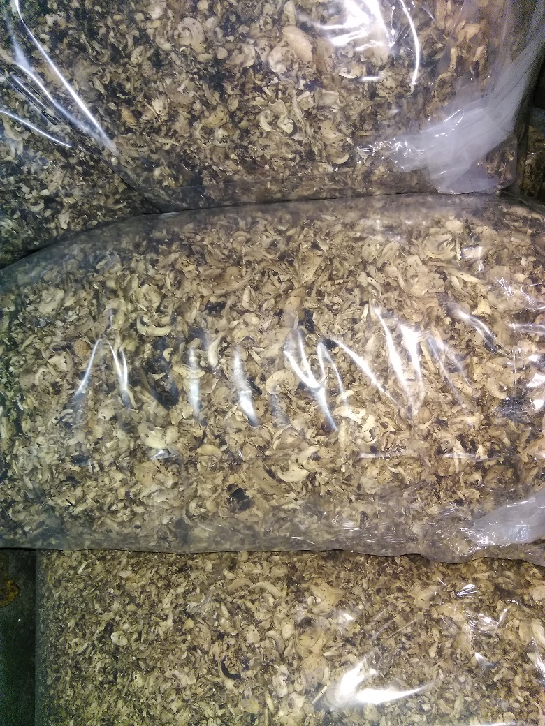 para la venta de setas secas - raíz de setas secas y rebanadas en bolsas de plástico después de aproximadamente 10 kg