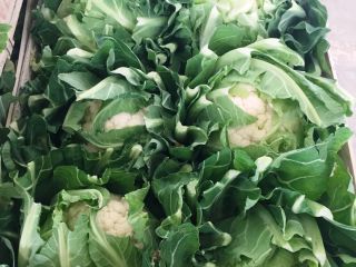 Coliflor, importación de Francia, bonita, fresca, 6 piezas /