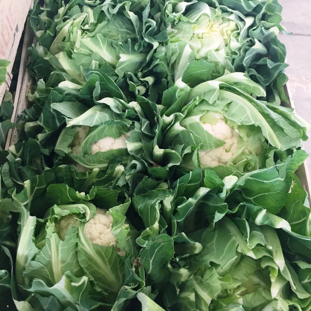 Coliflor, importación de Francia, bonita, fresca, 6 piezas / caja de madera, para recoger en Grójec