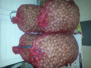 Nueces de 70 kg de la cosecha 2019 Seco,