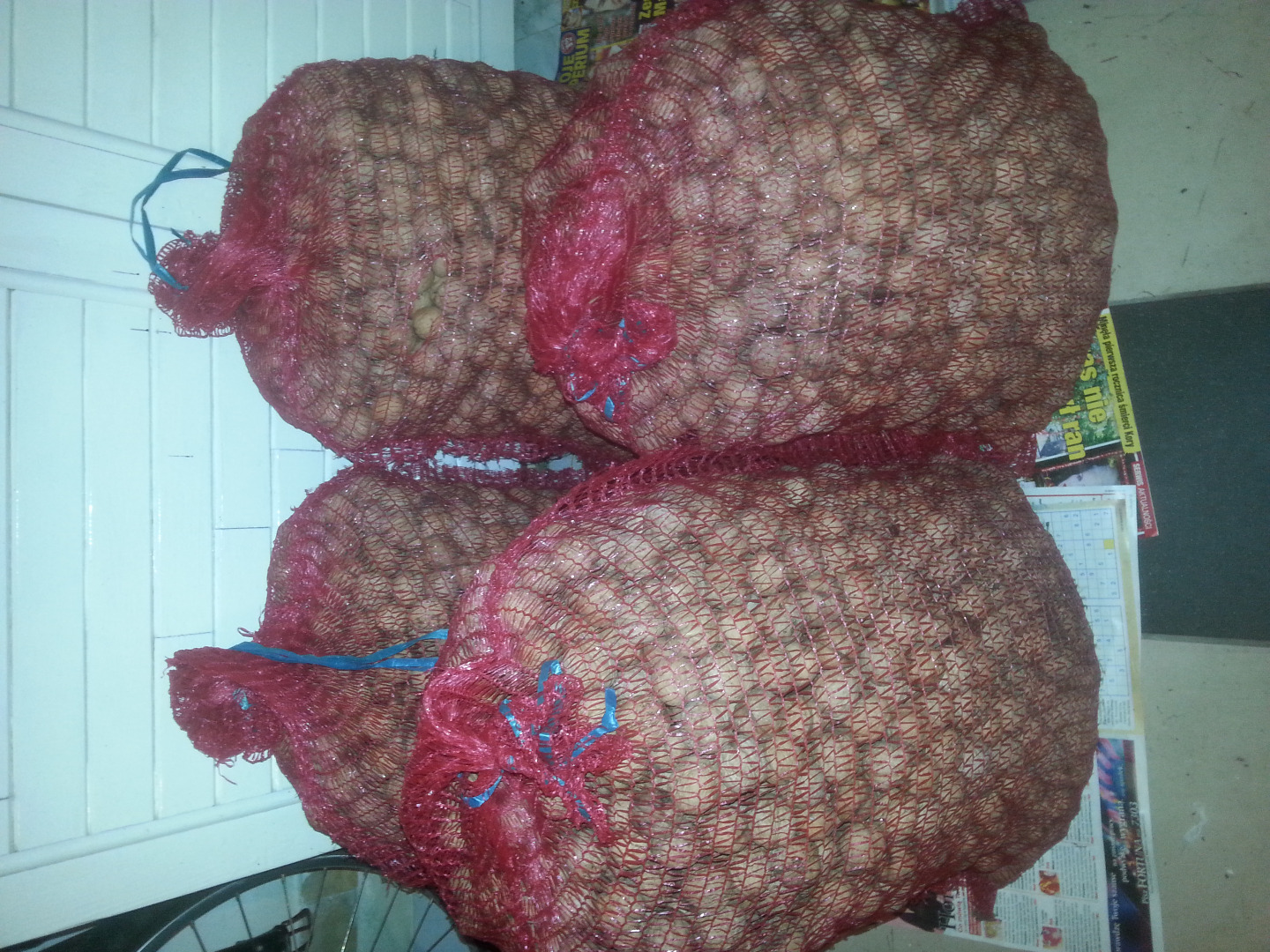 Nueces de 70 kg de la cosecha 2019 Seco, no rociado