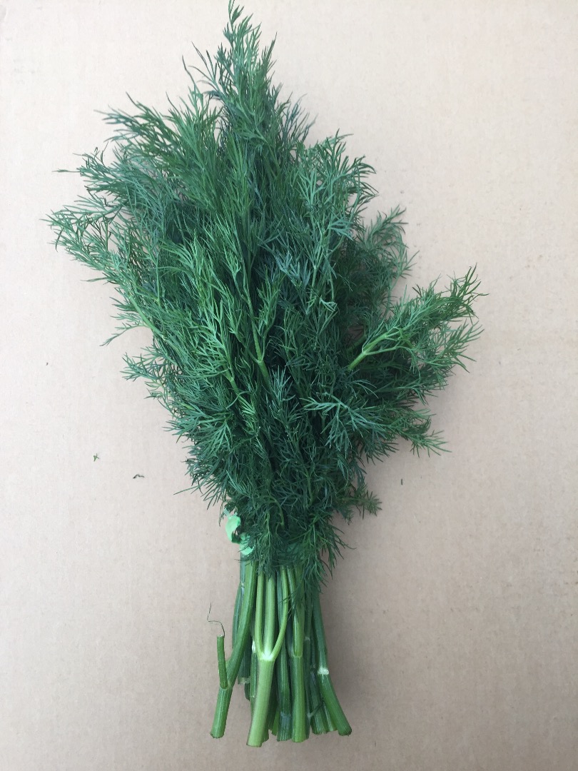 Venderé eneldo País de origen Irán Productos en el sitio en Poznań Longitud de más de 30 cm Embalaje: 20 kg / caja Eneldo verde oscuro, fresco