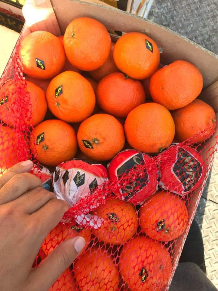 Mandarinas Clementinas Origen Marruecos Calibre : 1/2/3/4/5 Encajado : caja de madera 10 kg