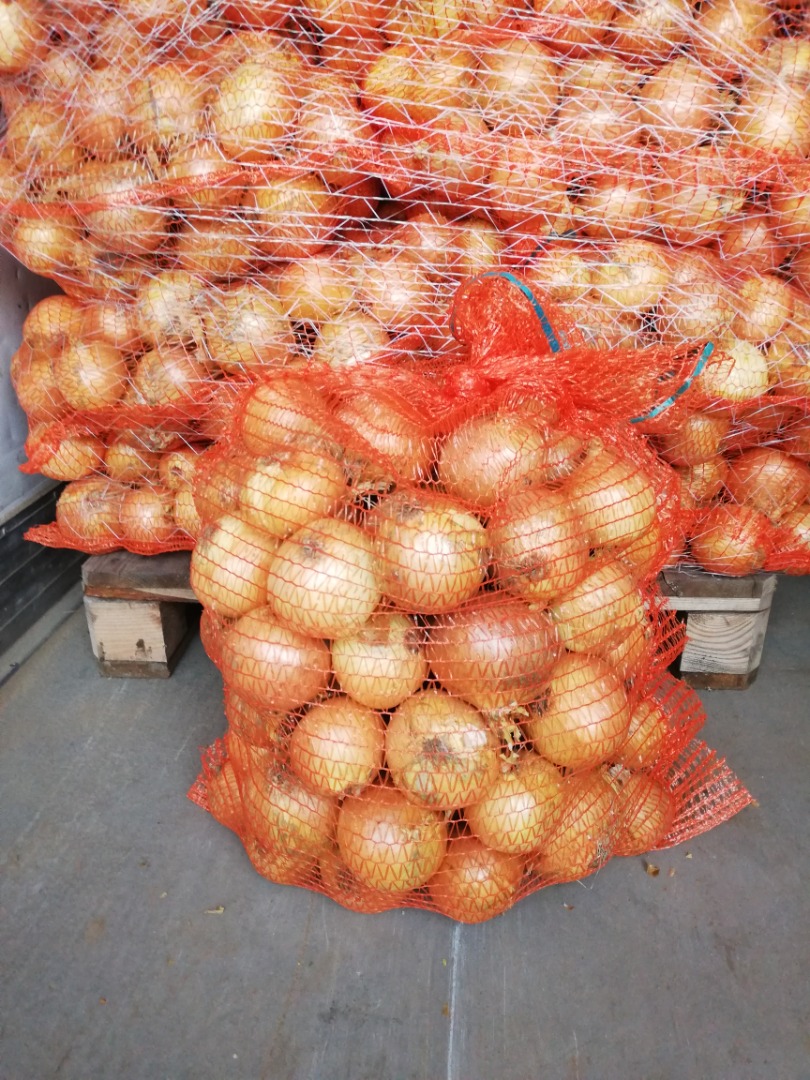 Venderé cebollas en una cáscara dorada, kal 4+ 7 y caly 8-12, biseladas en una bolsa de 15 kg en un palé