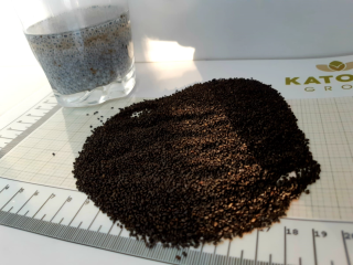Sweet Basil Seeds - ¡gran calidad! Mejor que las