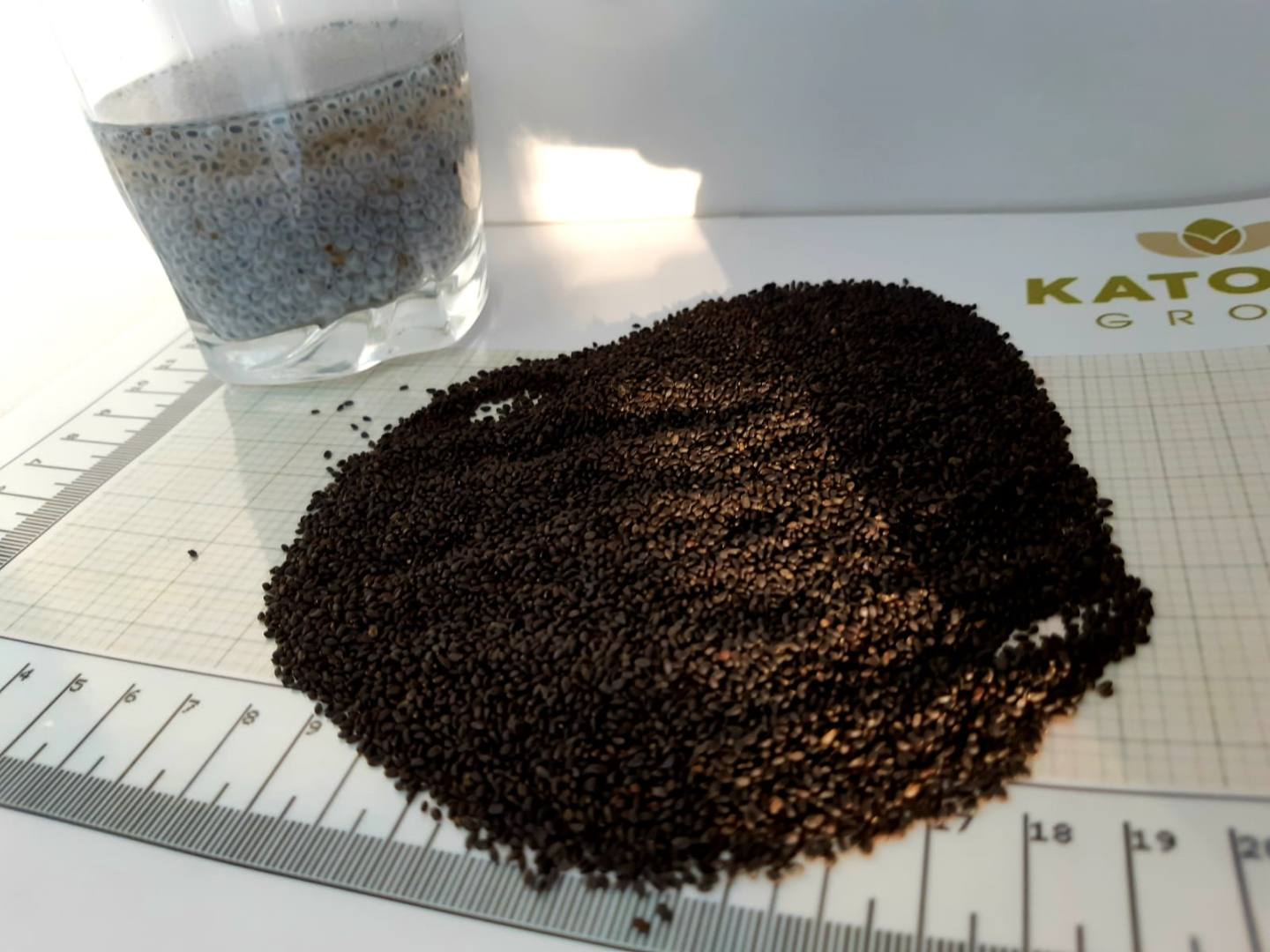 Sweet Basil Seeds - ¡gran calidad! Mejor que las semillas de chía: bajas calorías