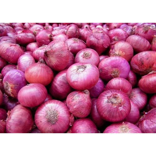 tenemos una cosecha fresca de cebolla roja y amarilla, calibre: 55+ contacte directamente, llame: correo electrónico: wechat: omarkjerry0
